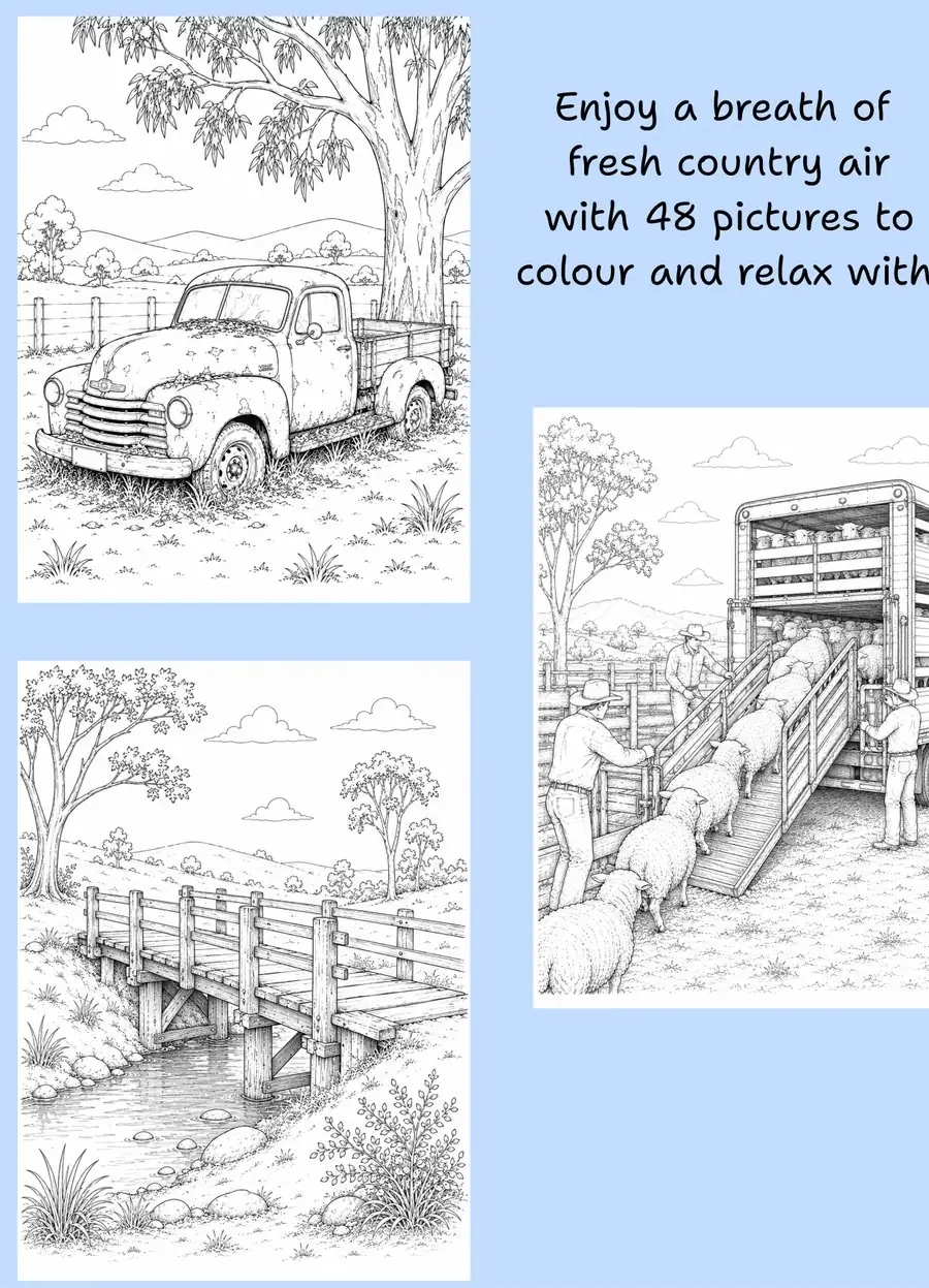 Back cover of The Australian Outback Colouring Book